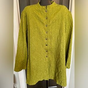 Chico Women’s Size 3 (L / XL) Button Down Blouse Ceylon Green Perfect For Fall
